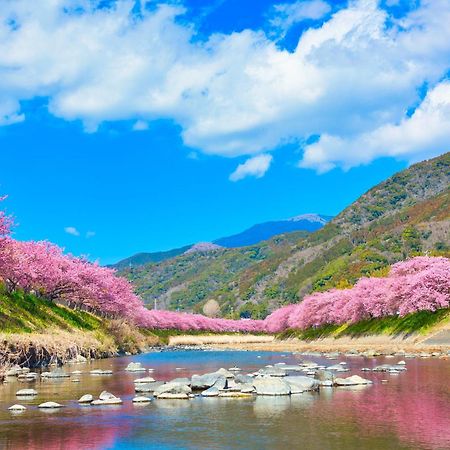 Ramjet Kisami Beach House Shimoda - Enjoy Sakura, Beach And Bbq! Bagian luar foto