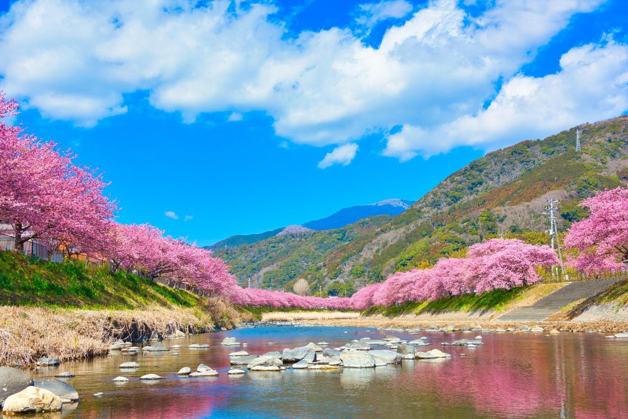 Ramjet Kisami Beach House Shimoda - Enjoy Sakura, Beach And Bbq! Bagian luar foto